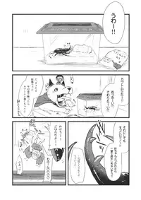 (C89) [02 (Harasaki)] Shinmyoumaru VS Caucasus Ookabuto (Touhou Project)