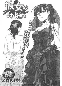 Doki! 2007-11