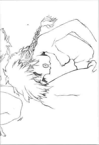 Saotome Ranma no Seitai Preview Ver2