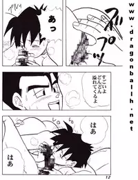 (C52) [Fusuma Goten (Shouji Hariko)] Irohani (Dragonball Z)