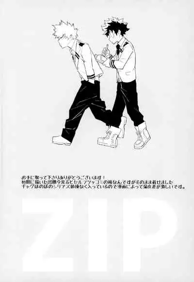 ZIP