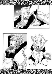 (C54) [.30-06 (Tsutsumi Akari)] CAZA MAYOR 3