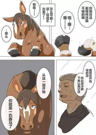 有秘密的竞赛马