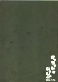 (C89) [Tachikawa Juukougyou (Katsudansou)] Sacchan to Issho (Granblue Fantasy)