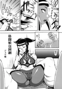 (C83) [Motsu Ryouri (Motsu)] Kakutou Musume Houi Shuu + (Street Fighter) [Digital]