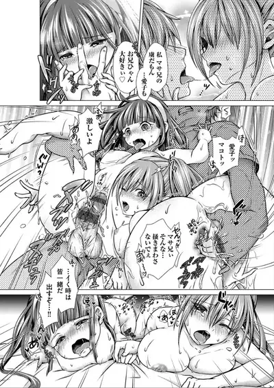 Harem Maid No Damedame Ecchi