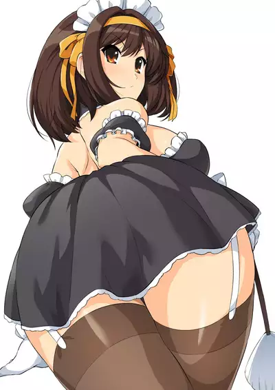 Harucos 12