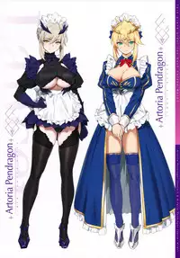 Chaldea Maid II