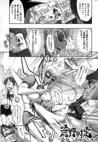 COMIC Shitsurakuten 2009-04