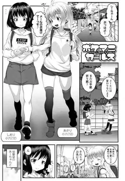 Soutaisei Virgin Theory