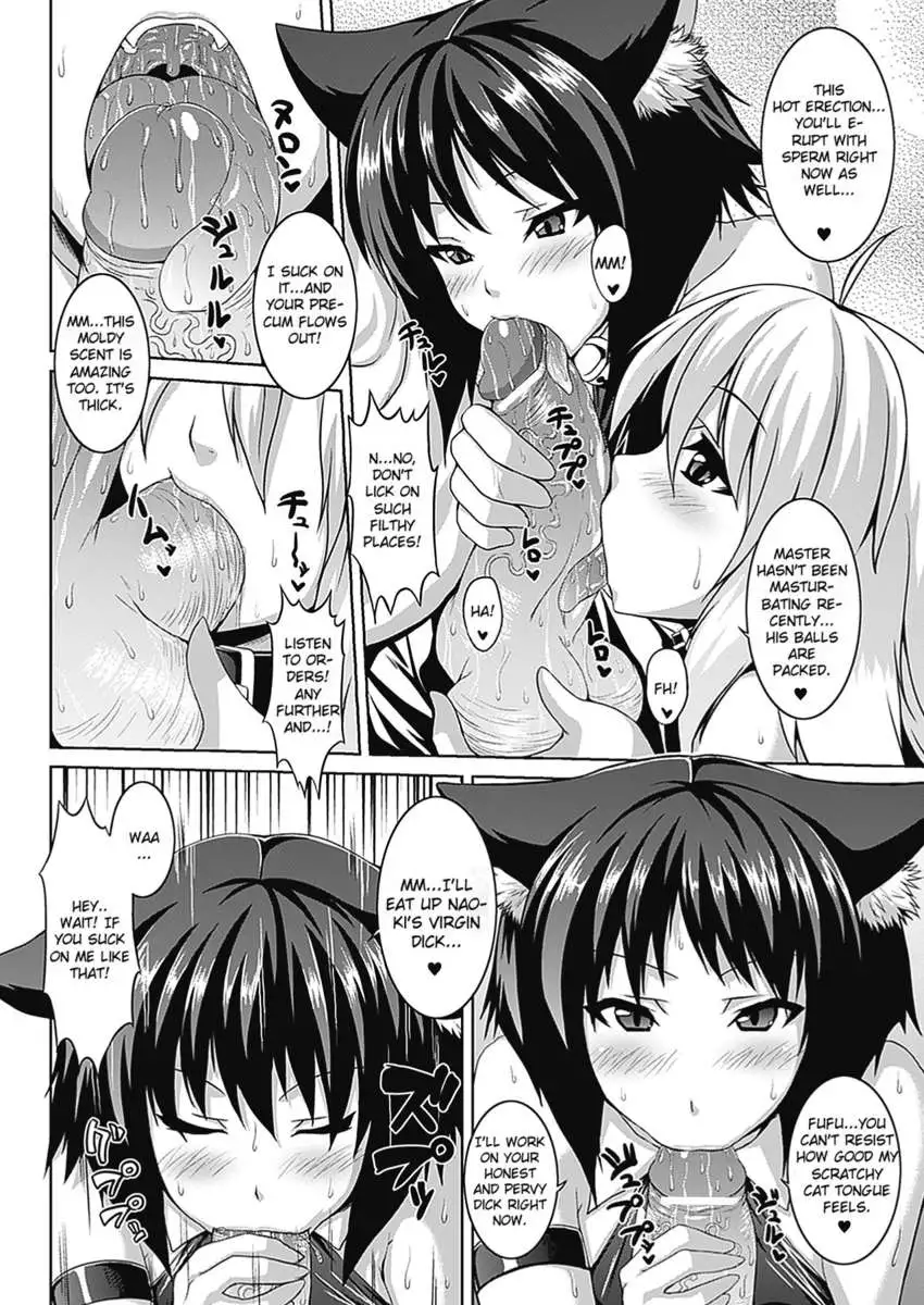 Bitch★Harem