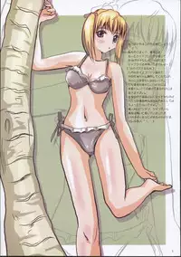 [Kakohime no Utsuwa] Cool Chanpuru 2 (School Rumble)