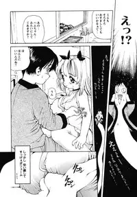 [Anthology] fox limit anthology 07 kneesocks