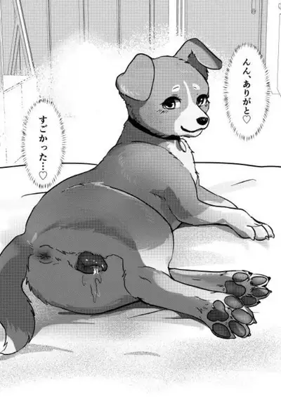 Wonderful! 1