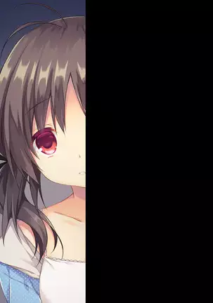 Koukishin ga Tomerarenakute