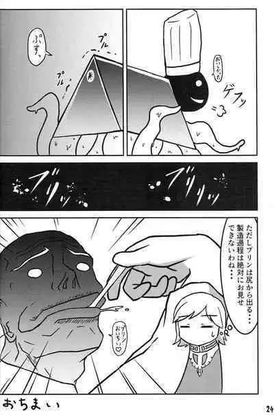 Tsurupeta Kenkyuu Houkokusho 011