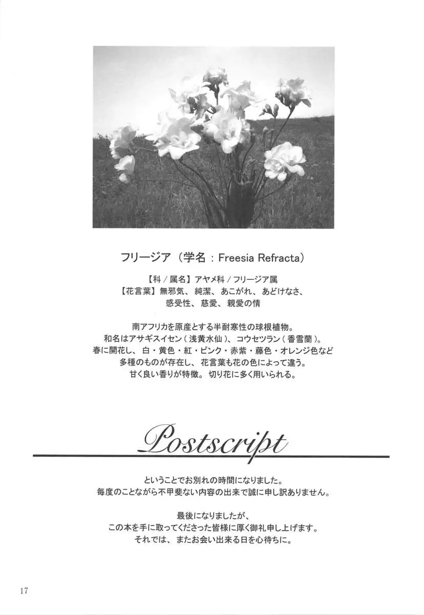 Floriography ~Freesia~