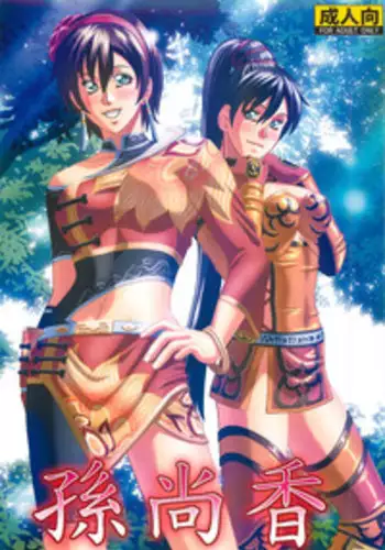 (C81) [Human High-Light Film (Jacky Knee-san)] Sonshoukou (Dynasty Warriors)