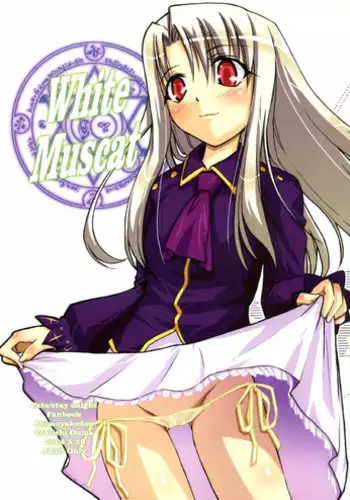 (C68) [Shimoyakedou (Ouma Tokiichi)] Sisters' Syrups (Fate/stay night)