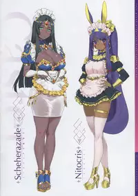 Chaldea Maid II
