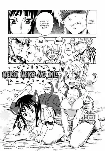 [Doro Noujou (Dorota Bou)] Robin's Hole 2 (One Piece) (English)