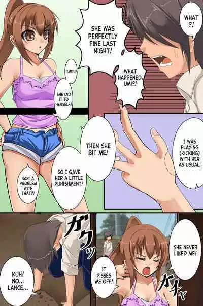 Mesu Inu Harem