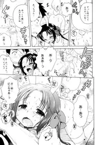 [Inuboshi] Tsukimisou no Akari