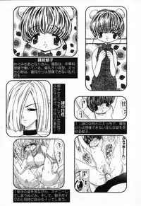 [Anthology] Pure Petit Vol.24