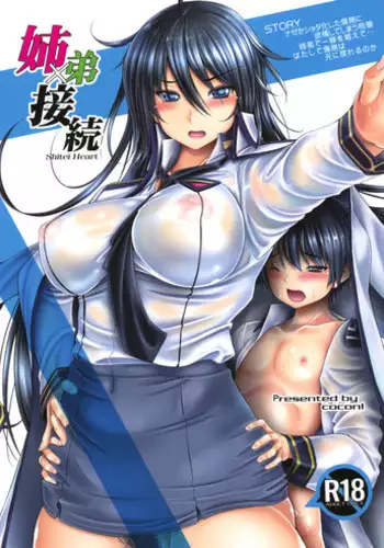 Shindol HxH BL comic