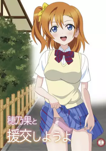 (C94) [MagicalFlight (Juujou Tatami)] Hikisaku Kotori (Love Live!)