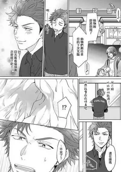 Fukurou no Koiwazurai | 猫头鹰的相思病