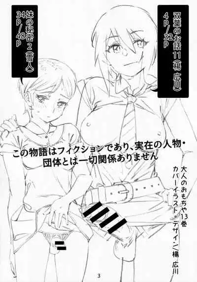 Otonano Omochiya Vol. 13