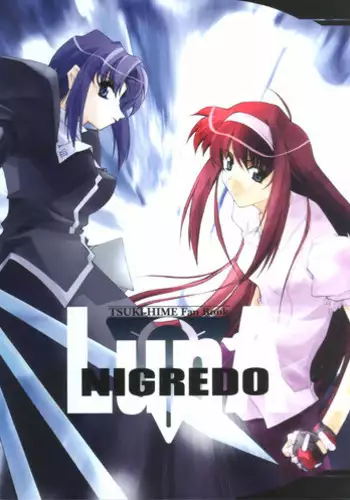 (Sougetsusai 02) [RYU-SEKI-DO (Nagare Hyougo)] Gekka Youjo (Tsukihime)