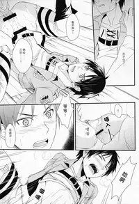 WHAT THE HELL (Shingeki no Kyojin)