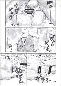(C91) [Ashinoie (Taryl.)] Hinnyuu Musume 35 (Berserk)