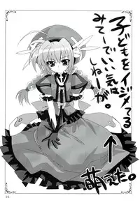 (SC37) [PLUM (Kanna)] Magical SEED FREEDOM (Mahou Shoujo Lyrical Nanoha)