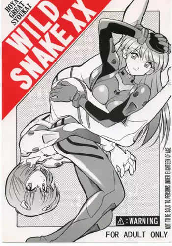 Ayanami Dai 3 Kai