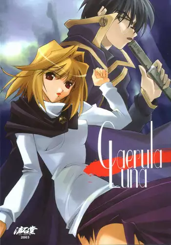 (Sougetsusai 02) [RYU-SEKI-DO (Nagare Hyougo)] Gekka Youjo (Tsukihime)