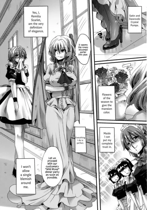 Otonaka Fla-Remi Hon - Flan and Remi's Coming of Age Book