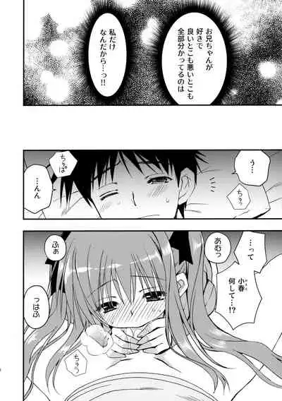 Onii-chan o Suki nano wa Watashi dake nandakara ne