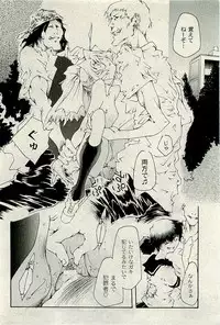 COMIC PLUM 2010-01