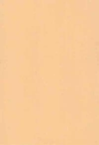 Sweet Winter Holiday