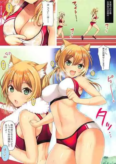 N,s A COLORS #11