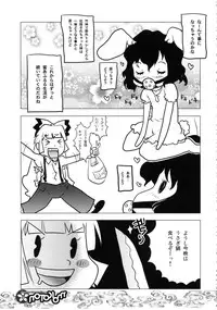 (C71) [RiceCandy (Hatomugi Munmun, Sakakibara Kaorunaoko)] Mokoton (Touhou Project)