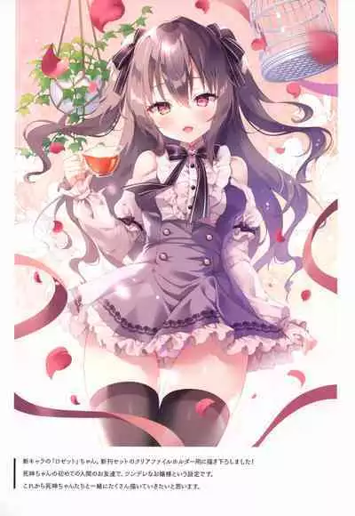 Lily Ribbon 3