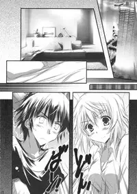 (C81) [SONIC WINTER (Tsukishima Kai)] Carol (Infinite Stratos) [English]