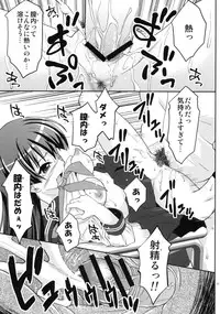 (C79) [Applecat (Potekoro)] Karen