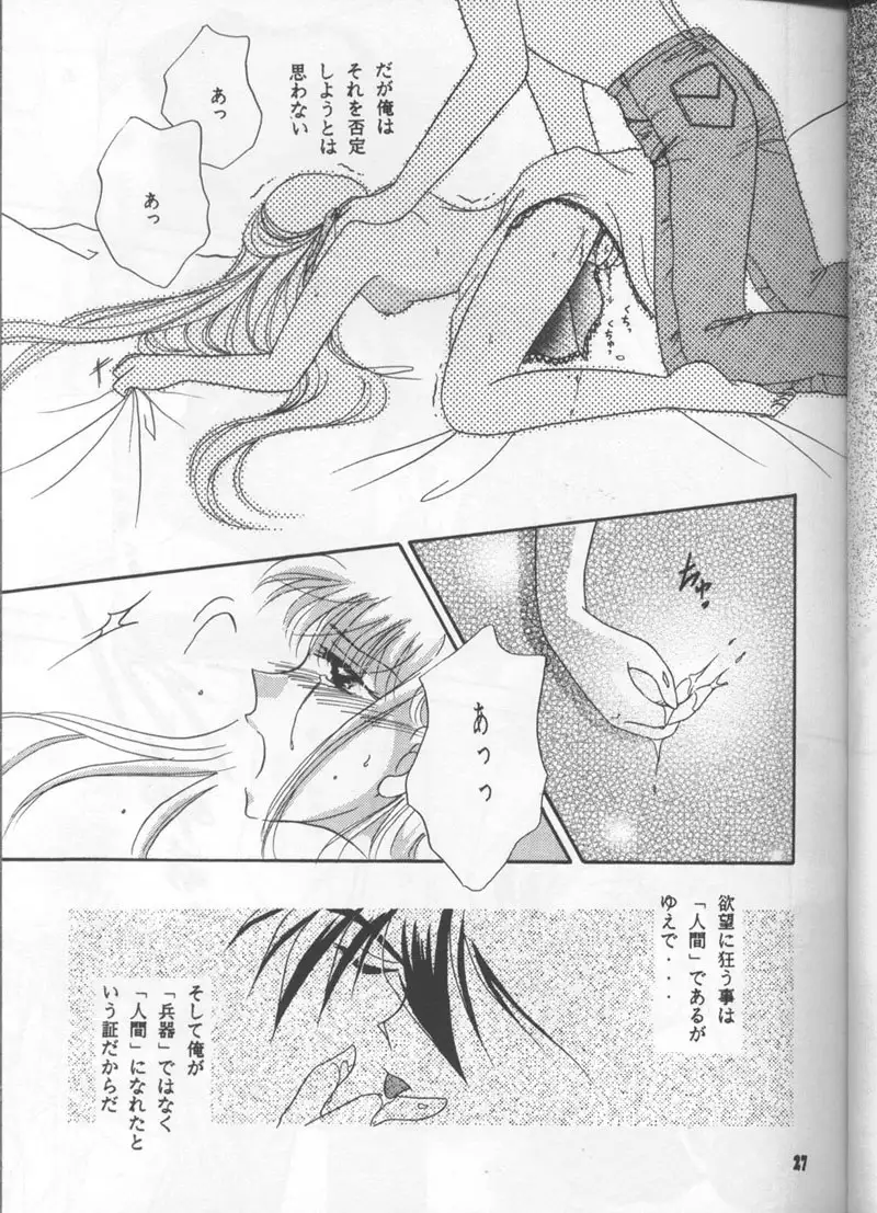 Gundam Wing - Desire