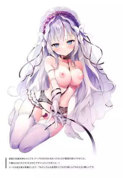 Lily Ribbon 3
