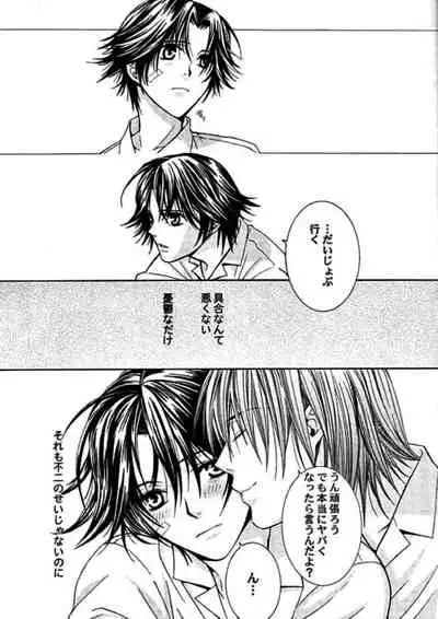 [E-PLUS (Mikoto Aogiri)] ROSE and HONEYCOMB (The Prince of Tennis)